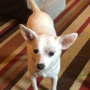 Meet your Posher, Isabelle